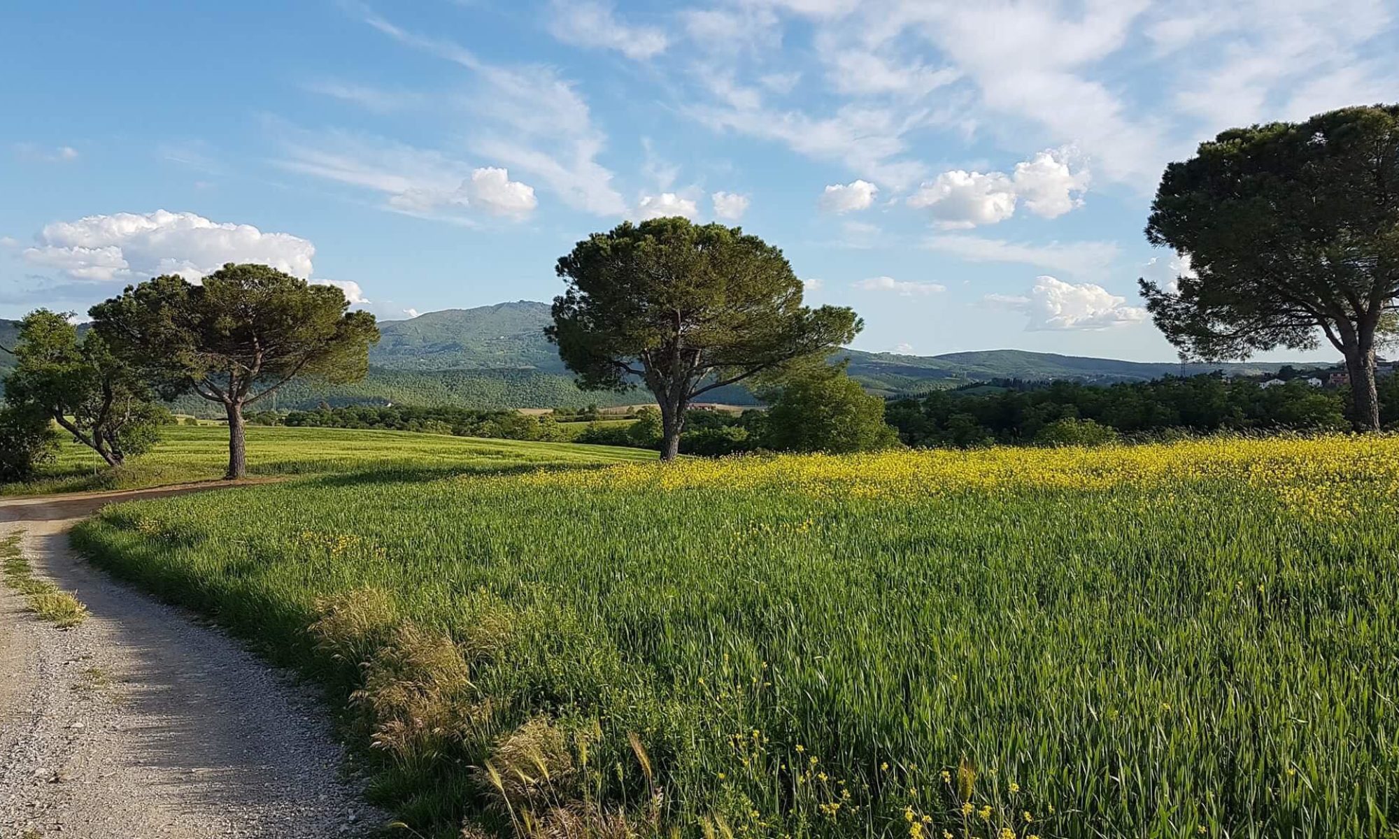 Nella quiete del verde